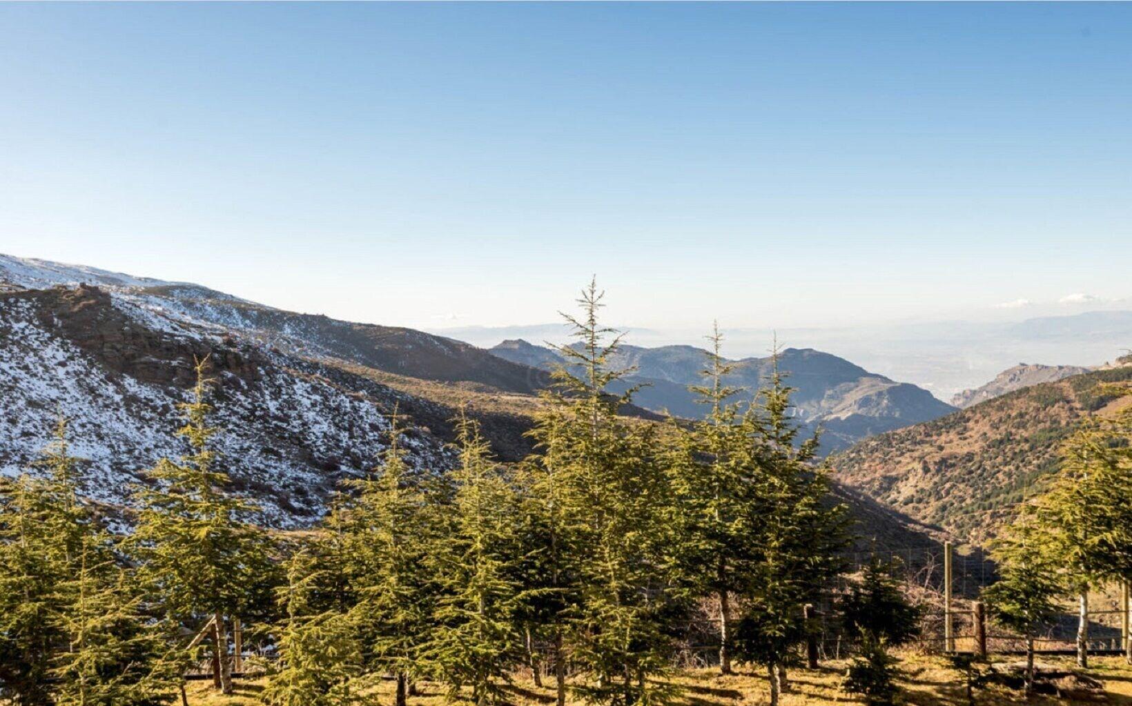 Hotel Apartamentos Trevenque Sierra Nevada Dış mekan fotoğraf